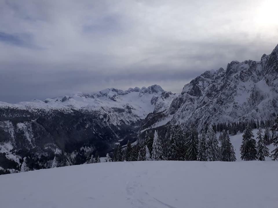 Dachstein View Ski Apartment Gosau Kültér fotó