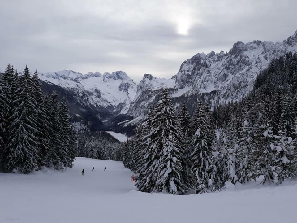 Dachstein View Ski Apartment Gosau Kültér fotó