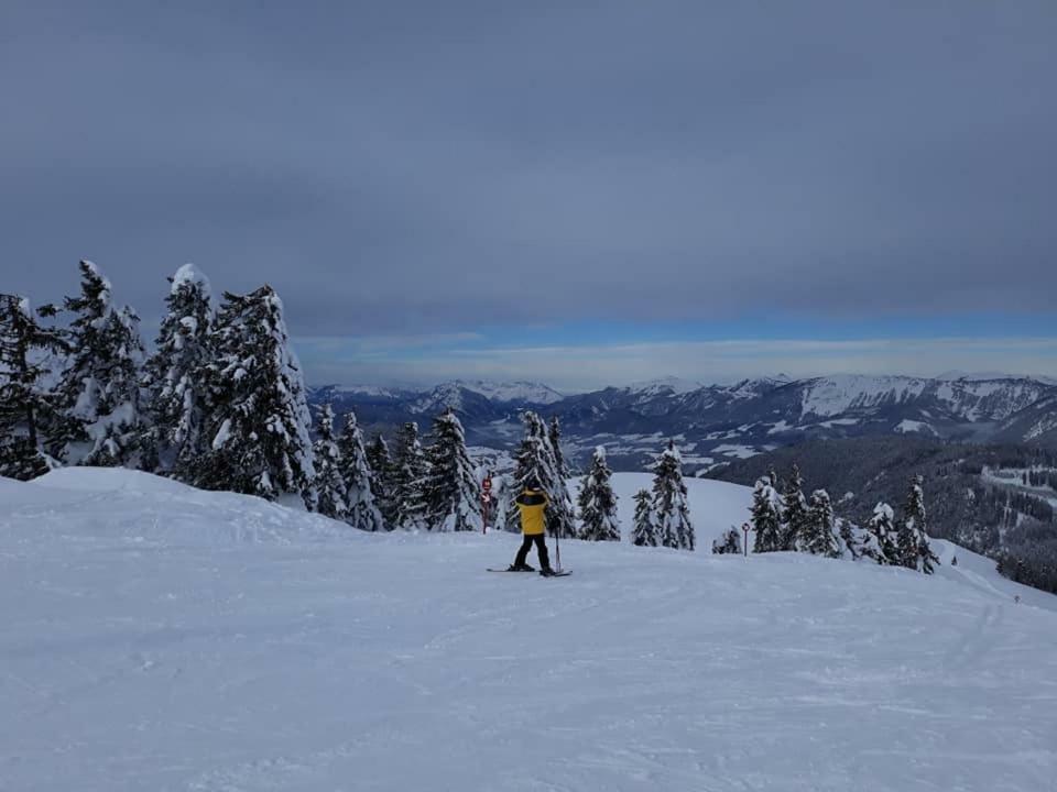 Dachstein View Ski Apartment Gosau Kültér fotó