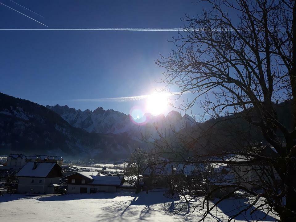Dachstein View Ski Apartment Gosau Kültér fotó